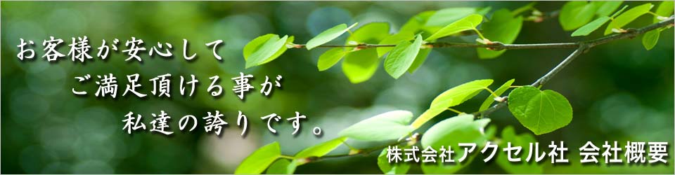 アクセル社会社概要